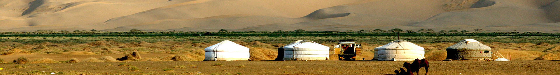 モンゴル観光