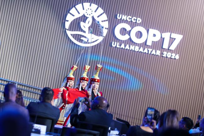 COP17、23カ国60超の事業で12.9億ドル調達へ
